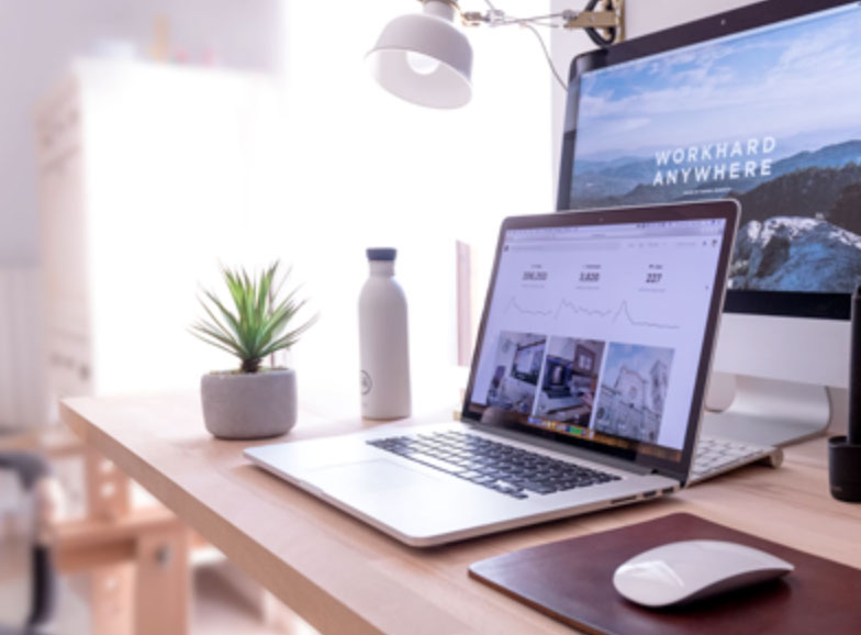 Laptop on desk with mouse and plant