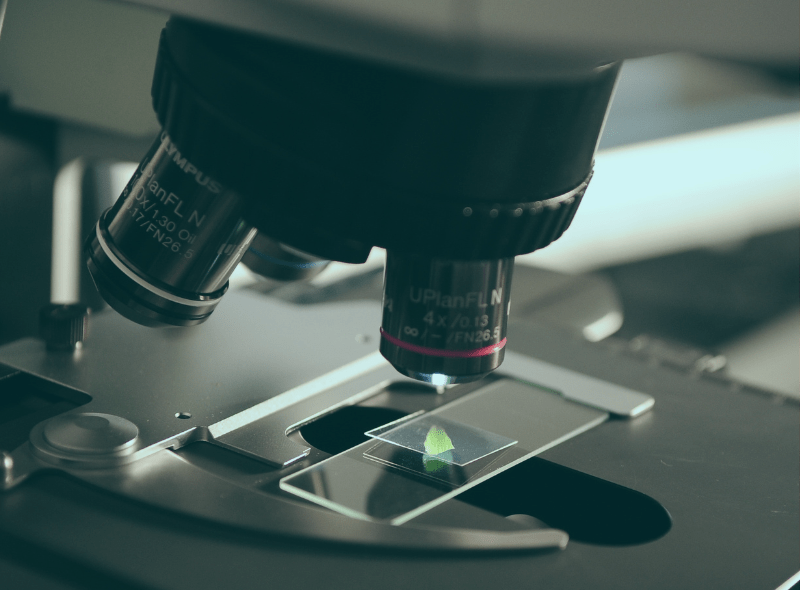 Microscope focused on a sample
