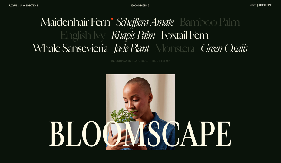 Bloomscape web design