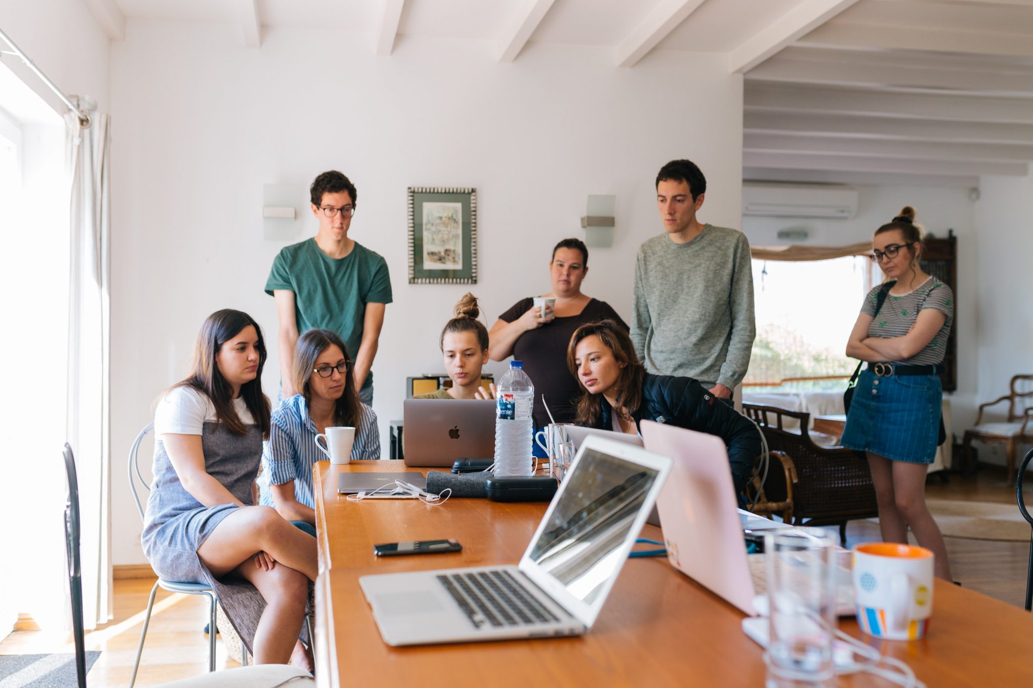 Explained by Experts: 18 Types of Software Developers Roles