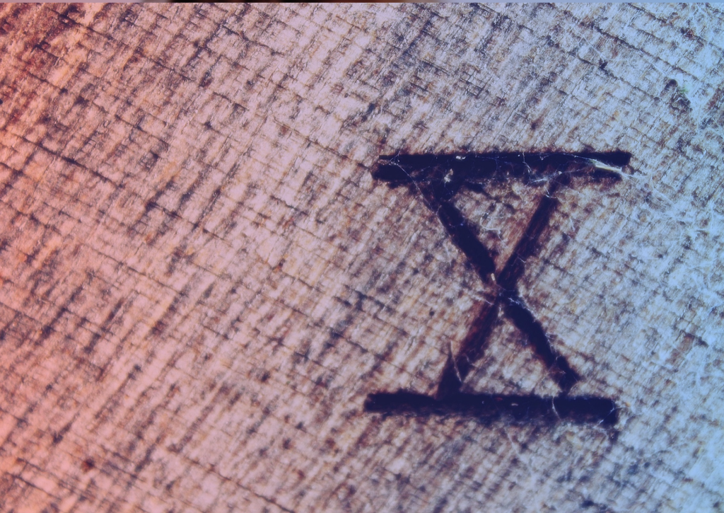 the number ten
