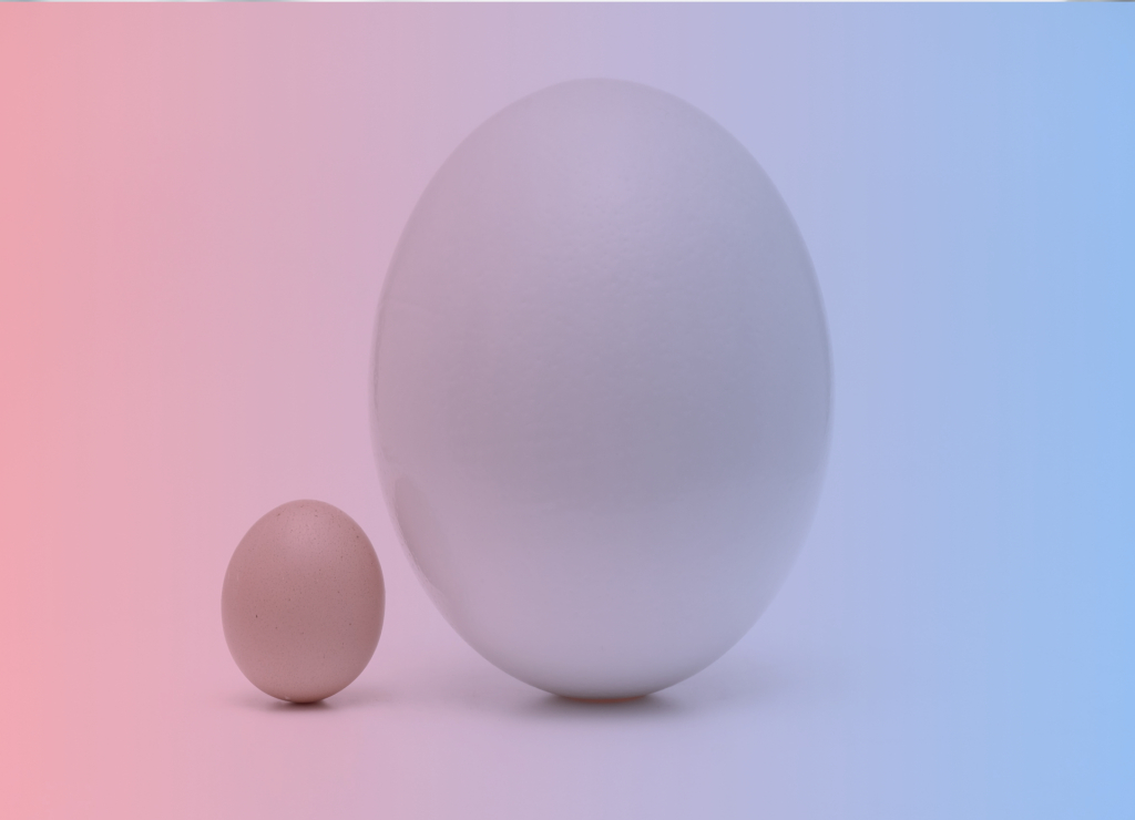 big and small eggs