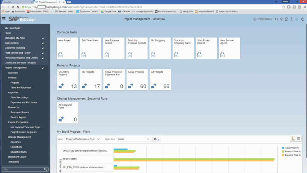 SAP business interface
